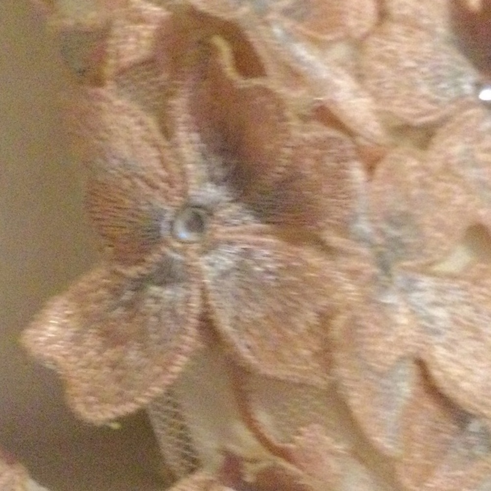 Nicole Bakti Women's Peach Flower Applique - Picture 12 of 16